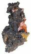 Ruby Red Vanadinite Crystals on Manganese Oxide - Morocco #38493-1